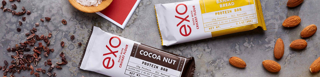 Why crickets are the future of protein